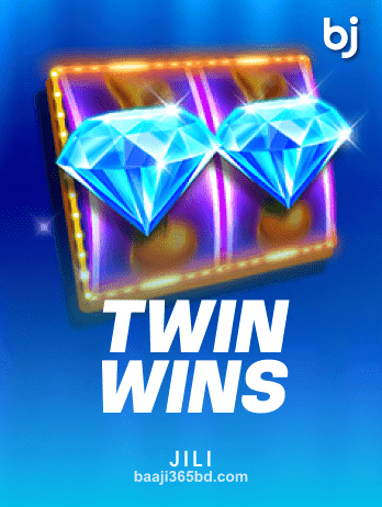 TWIN WINS Slot Game
